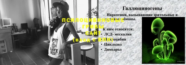 мяу мяу мука Аркадак