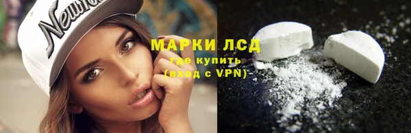 мяу мяу мука Аркадак
