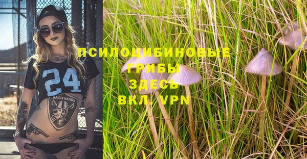 соль ск Зарайск