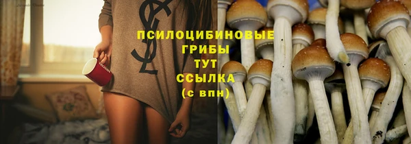 кокс Арсеньев