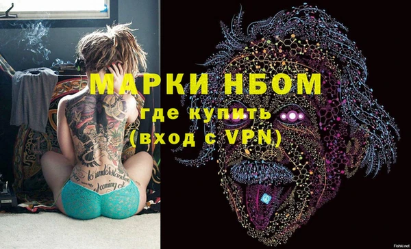 сатива Армянск