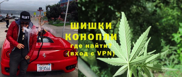 мяу мяу мука Аркадак