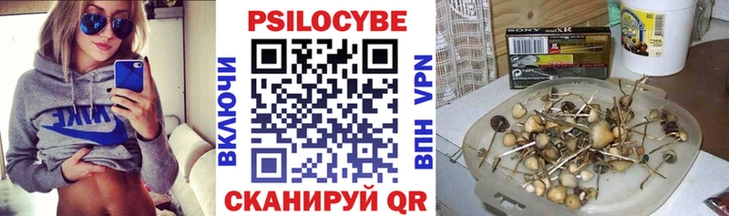 Купить Беломорск Псилоцибиновые грибы мицелий