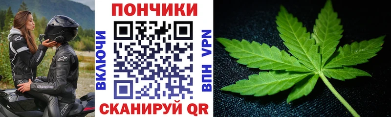Купить где  Беломорск  Марихуана план 